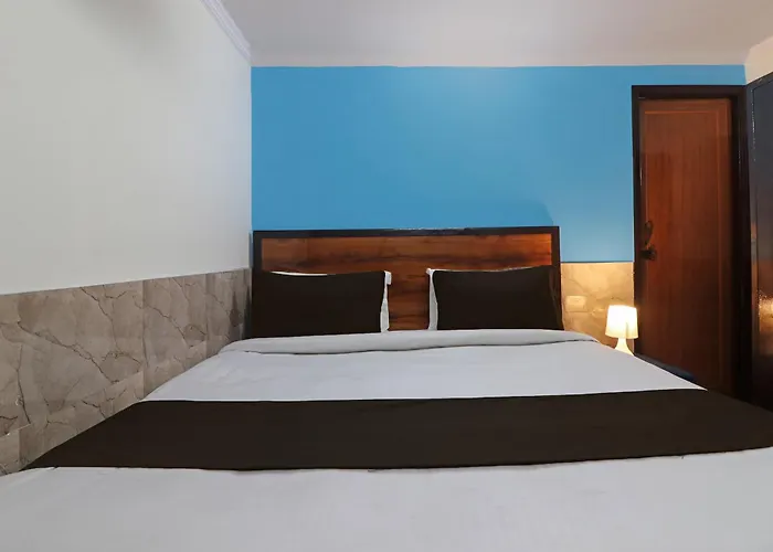 Hotel O Bluemoon Inn, South Campus New Delhi